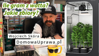 Jak mocne oświetlenie potrzebujemy do uprawy roślin na m2? Ile możemy uzyskać gram z naszej uprawy?