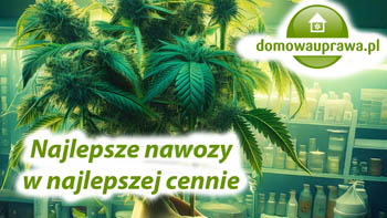 Podwójna promocja na najlepsze nawozy!