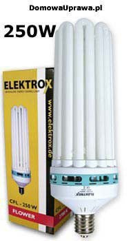 ELEKTROX CFL 250W Flower