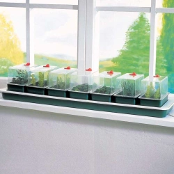 Samonawadniający propagator GARLAND + 7 mini tacek 76×18,5×15 cm