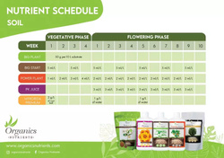 Mykoryza Premium 100 g – 18 grzybów mikoryzowych, 5 gatunków Trichoderma, bakterie i mikroorganizmy dla silnych korzeni