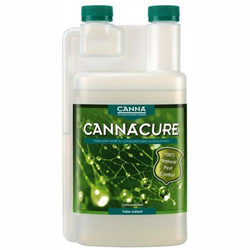 Canna Cure 1 L – naturalna ochrona i wzmocnienie roślin