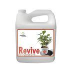 Revive 250ml