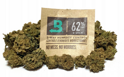 Regulatr Wilgotności Boveda 58% - do 30g