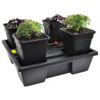 System hydroponiczny Wilma BIG 4x18L 75x75xh20cm