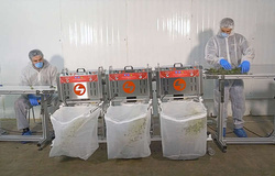 MT Tumbler 200 PRO – wydajna trymowarka Master Products 12 kg/h, kompaktowa