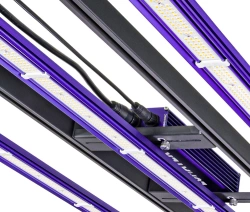 Zeus 300 W PRO LED Lumatek (120x60) 3.1