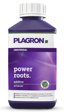 Plagron Power Roots 250ml - stymulator korzeni