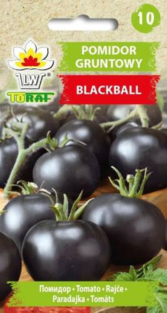Pomidor gruntowy BLACKBALL (średnio późny) - nasiona Toraf