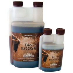 BIOCANNA Boost 250ml