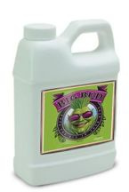 Big Bud 250ml - stymulator kwitnienia dający duże kwiaty