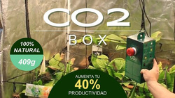 CO2 BOX do growboxa, 1200-1500ppm