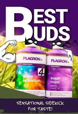 Green Sensation 1 L +  Sugar Royal 1 L - Plagron Best Buds