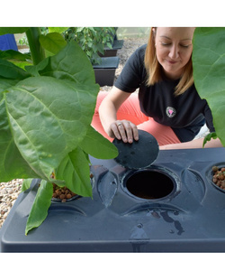 DWC OxyPot 70 L 6 roślin – system hydroponiczny 6 roślin, efektywna uprawa bez gleby