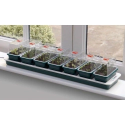 Propagator Garland podgrzewany na 7 mini tacek 76×18,5×15 cm 