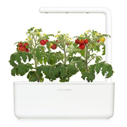 Pomidory koktajlowe  - Click & Grow Smart Garden - 3 sztuki