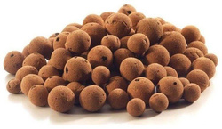 Keramzyt Plagron Euro Pebbles 8/16 45L 