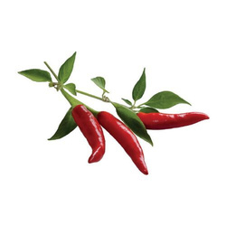 Papryka Chili - Click & Grow Smart Garden - 3 sztuki