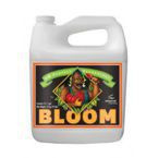 Bloom pH perfect 10l