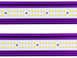 Zeus 300 W PRO LED Lumatek (120x60) 3.1