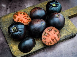 Pomidor gruntowy BLACKBALL (średnio późny) - nasiona Toraf