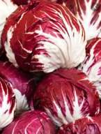 Cykoria sałatowa Palla Rosa 3