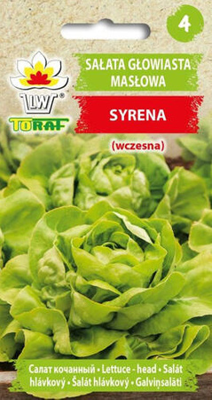 Sałata głowiasta masłowa SYRENA (wczesna) - nasiona Toraf