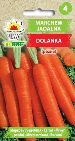 Marchew Dolanka (późna)