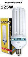 ELEKTROX CFL 125W Dual