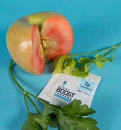 Regulatr Wilgotności z Terpenami - Integra Boost Terpene Essentials Terpinolene 62% na 15g