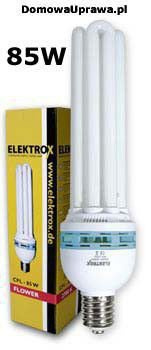 ELEKTROX CFL 85W Flower