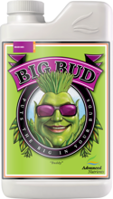 Big Bud 1l - stymulator kwitnienia dający duże kwiaty