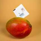 Regulatr Wilgotności z Terpenami - Integra Boost Terpene Essentials Myrcene 62% na 15g