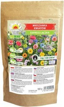 Mieszanka kwiatów - Express łączka