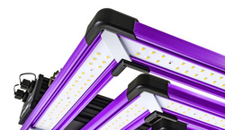 ATTIS 300 W Pro LED full spectrum (100x100)