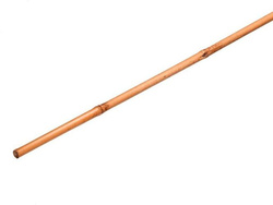 Tyczka bambusowa 120cm (8-10mm) - 10 sztuk