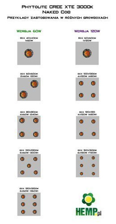 Lampa LED GROW PHYTOLITE CREE X-TE  COB 60W