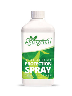 Spray in 1 - naturalny środek zwalcza przędziorki, przylżeńce i mszyce