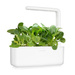 Pak Choi - Kapusta chińska  - Click & Grow Smart Garden - 3 sztuki