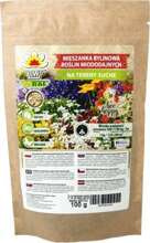 Mieszanka bylinowa roślin miododajnych na tereny suche