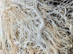 Mikoryza Great White Premium Mycorrhizae 113g – najlepsza mikoryza
