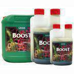 CANNA Boost 1L – Silny stymulator kwitnienia dla obfitych plonów