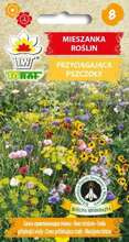 Mieszanka roślin przyciągająca pszczoły - nasiona Toraf