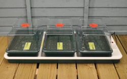Propagator GARLAND elektryczny podgrzewany z termostatem - 80,5x41xh20 cm