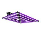 ATTIS 300 W Pro LED full spectrum (100x100)