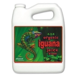Organic Iguana Juice Bloom 5l