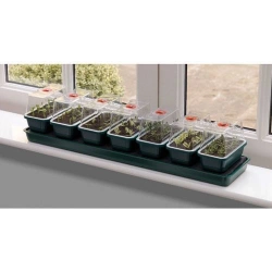 Samonawadniający propagator GARLAND + 7 mini tacek 76×18,5×15 cm