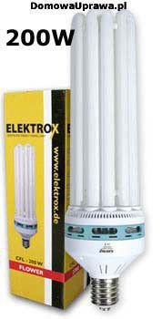 ELEKTROX CFL 200W Flower