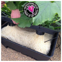 OxyPot DWC 110 L  9 roślin– kompletny system hydroponiczny 