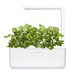 Kolendra - Click & Grow Smart Garden - 3 sztuki